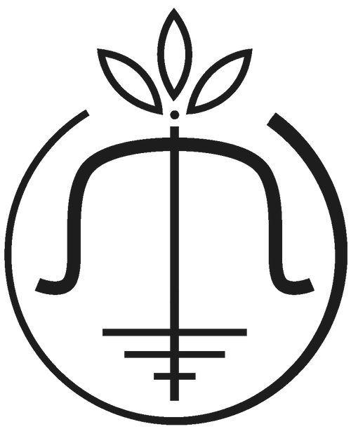 The Self Lens