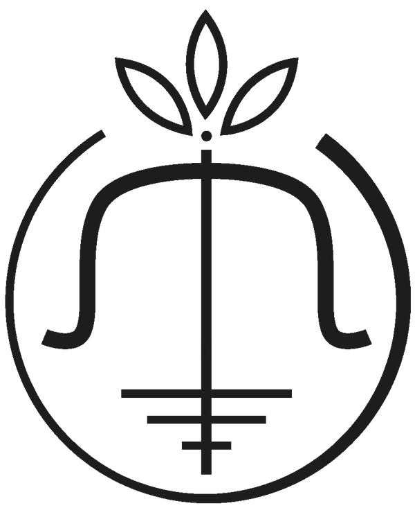 The Self Lens